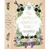 Abrams Books The Antique Anatomy Tarot
