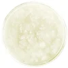 100% Pure Lavender Body Scrub 10 oz.
