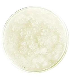 100% Pure Lavender Body Scrub 10 oz.