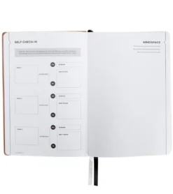 Sked Planner Medium Rose Gold Planner