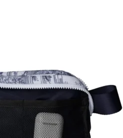 Vooray Quinn Belt Bag
