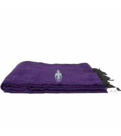 West Path Thunderbird Mexican Yoga Blanket